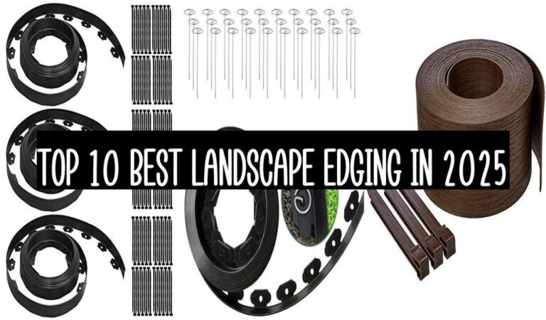 Top 10 Best Landscape Edging In 2025