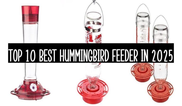 Top 10 Best Hummingbird Feeder In 2025